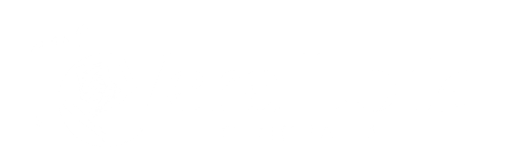 Logotipo da Vera Loik Fotografia em preto com ícone de câmera fotográfica e silhueta feminina em traços finos.